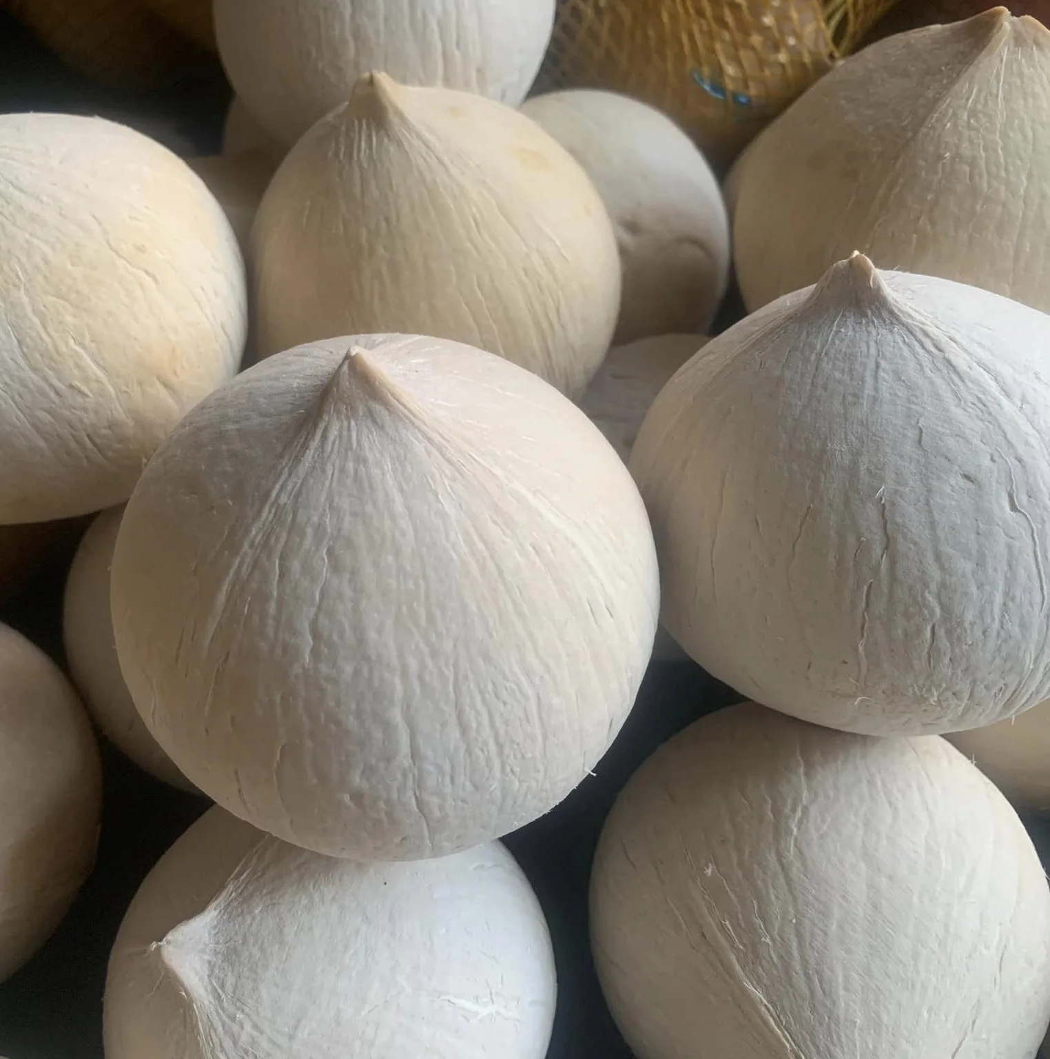 Young Fresh Coconuts 250-300ml Volume High in Protein Diamond or Polished Shape Per Piece Fruit Specialty - ANNA DO +84982153058