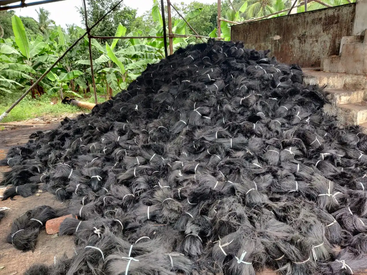 2022 hot product - Black Coir Bristle Fibre ( contact to +91-9895764873 )