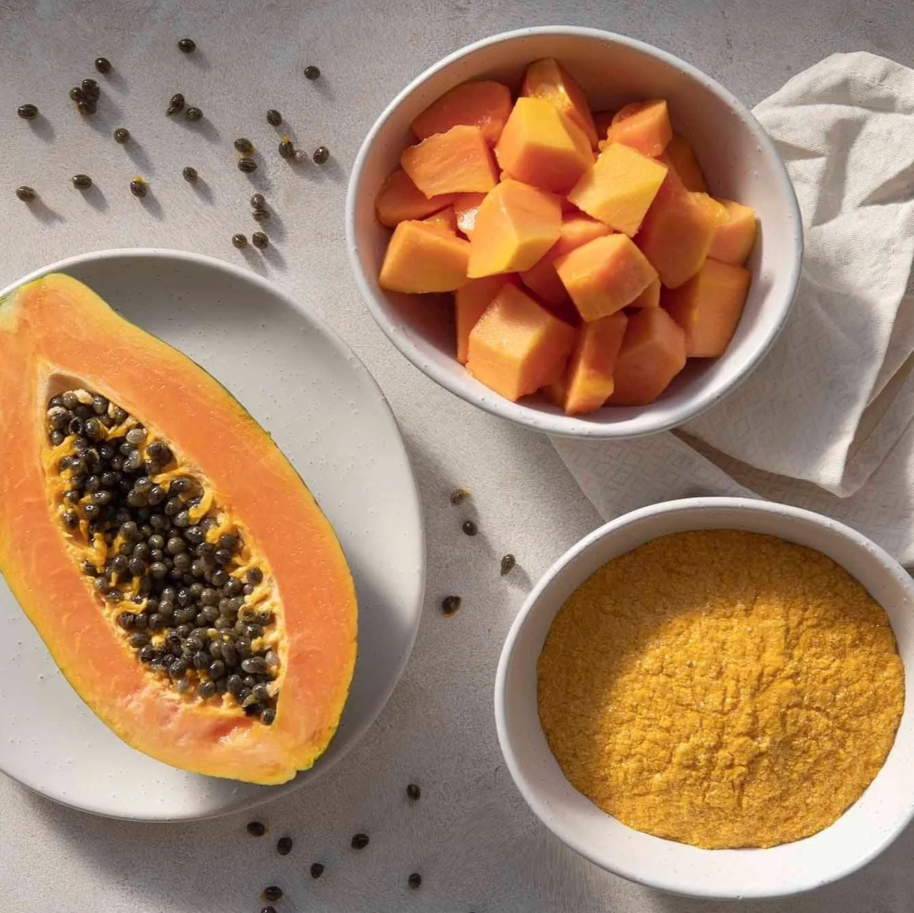 Premium quality Vietnamese papaya fruit powder top quality powdered pawpaw fruits with best price