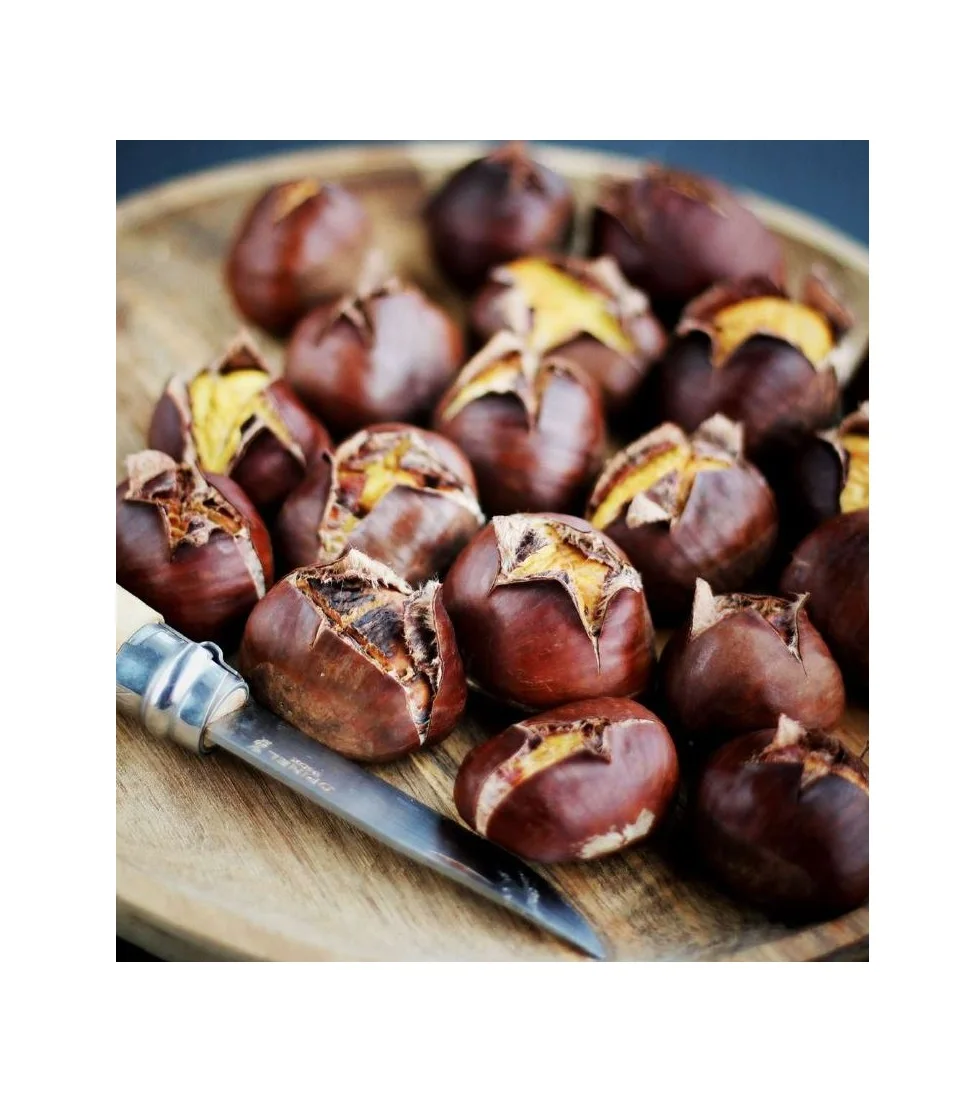 High Quality wholesale price good quality chestnut fresh chestnut