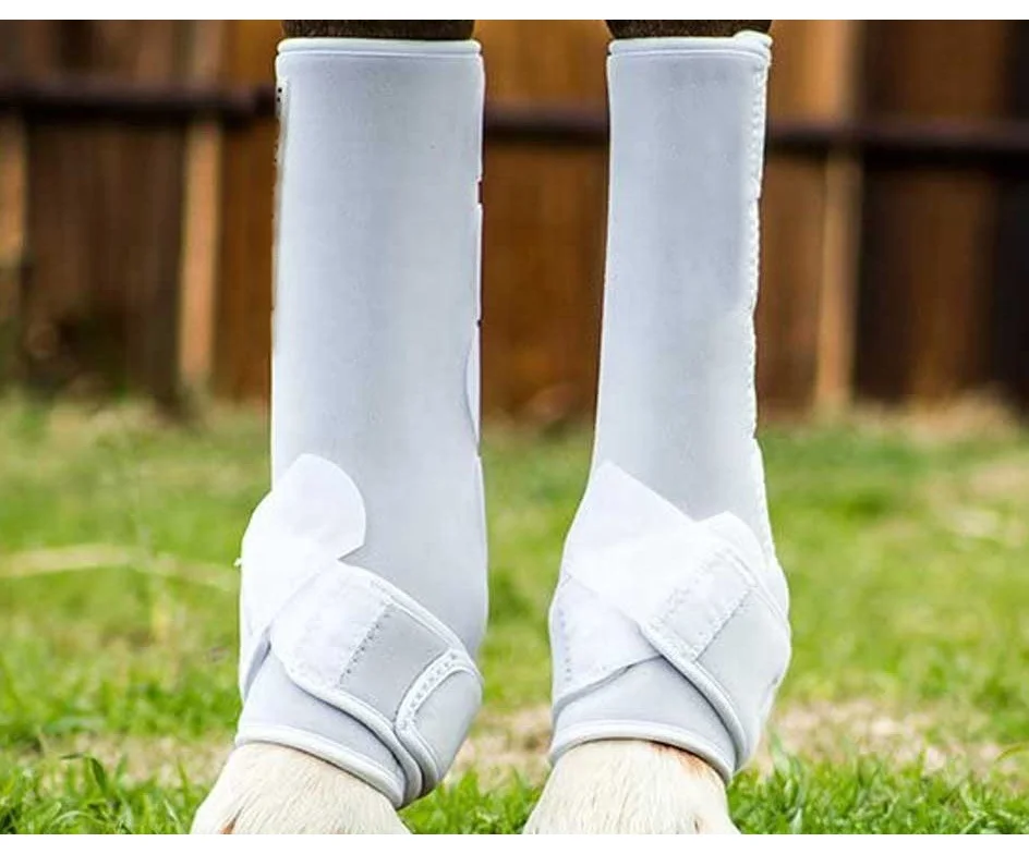 2023 Horse Leg Wraps for Horse Riding Care Equestrian Safety Neoprene Horse Protection Tendon Boots With your own logo