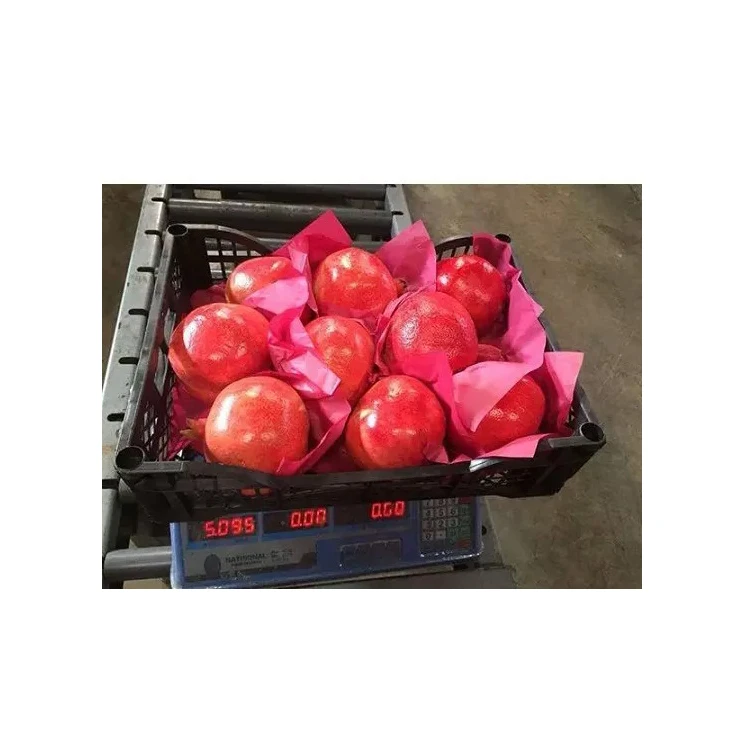 Свежий 100% натуральный красный фруктовый гранат для продажи в Португалии по воздуху Быстрая