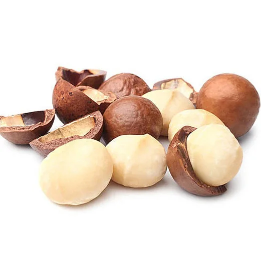 Raw Healthy Food 5kg Bag Dried Roasted Macadamia  Macadamia Nut From Factory for Export Nuts for Sale