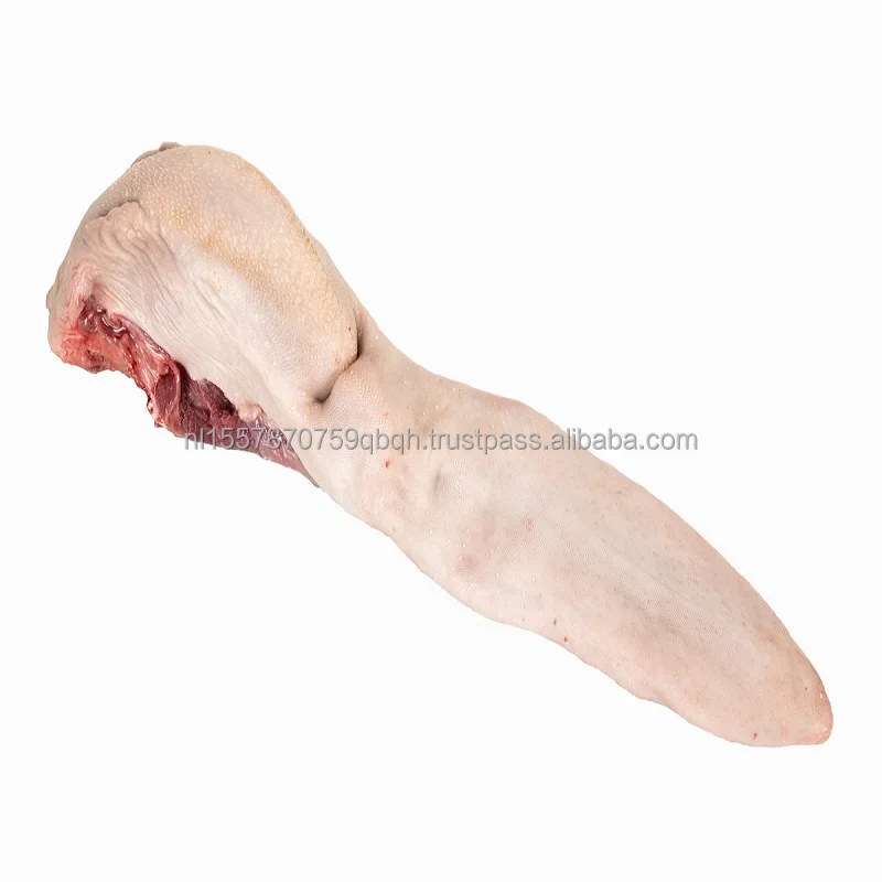 Halal Frozen Beef Penis Fresh Clean Processing Beef Penis Bull Pizzle Nutritious Organic Chilled Beef Pizzle