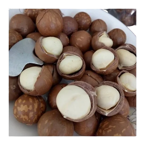 Macca Nut Professional Team Export Food High Protein Customized Packaging Made In Vietnam Trading