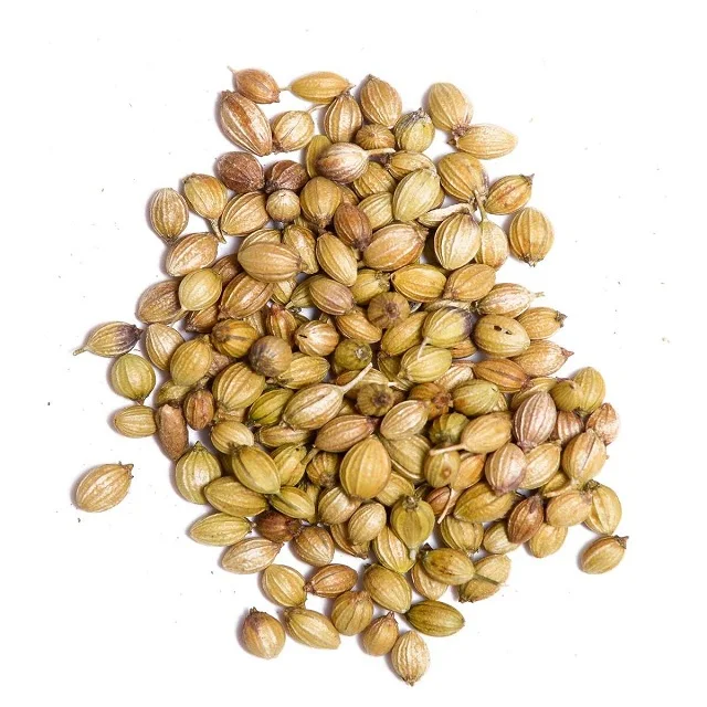coriander seed available for sales at low market price