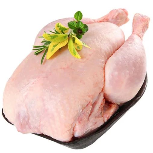 High Quality HALAL Frozen Whole Chicken Wholesale Frozen Chicken Breast BEST QUALITY for SALE at LOW PRICE