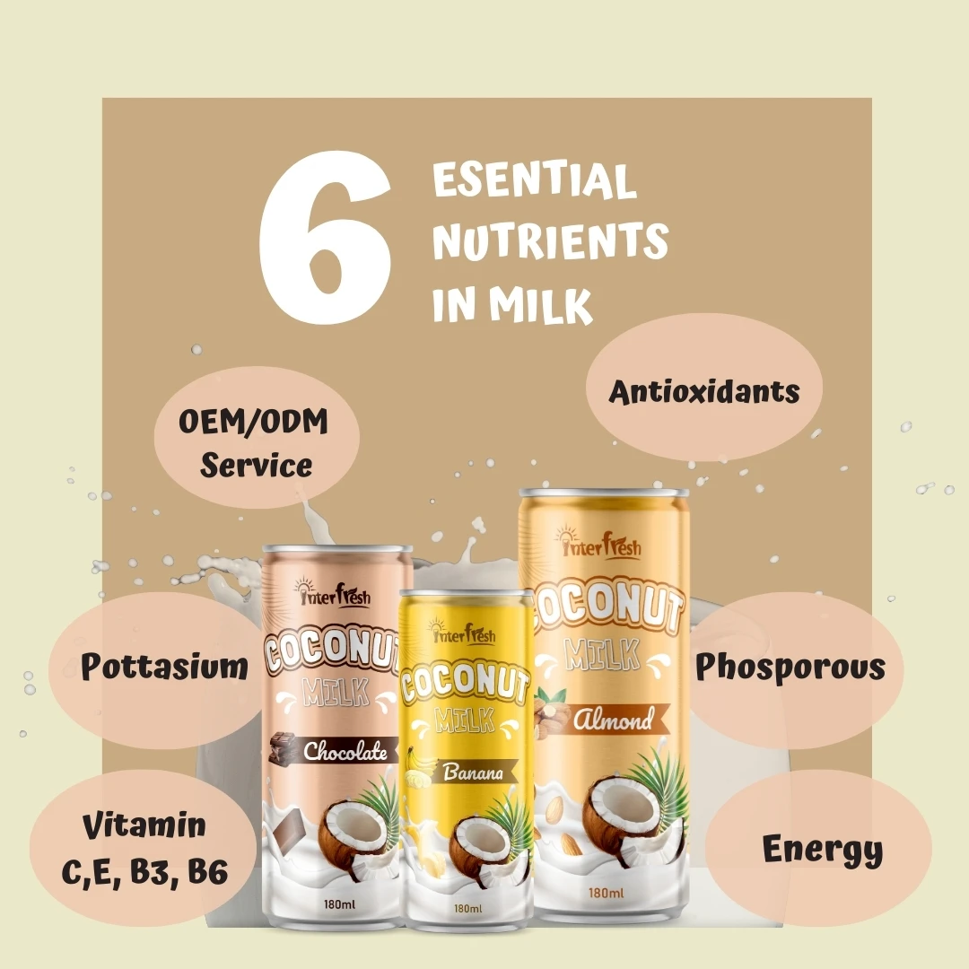 INTERFRESH VIETNAM Coconut Milk With Juice Flavor High Quality Coconut milk with Nata de coco OEM Manufacture