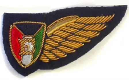 AMMUNITION TECH. NO. 1 ARM BADGE OTHER RANKS