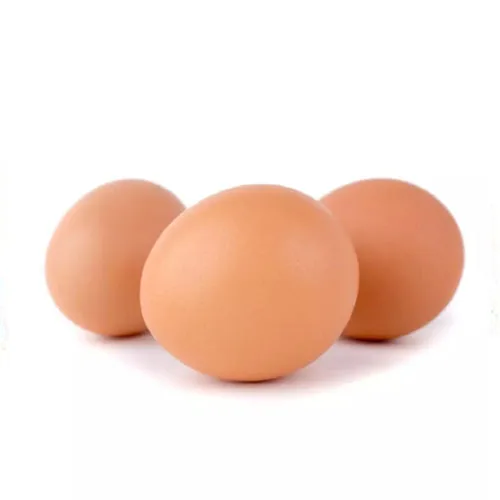 Best Quality Wholesale Fertilized Chicken Eggs Cobb 500 Broiler Chicken Eggs Fresh Cobb 700 Fertile eggs