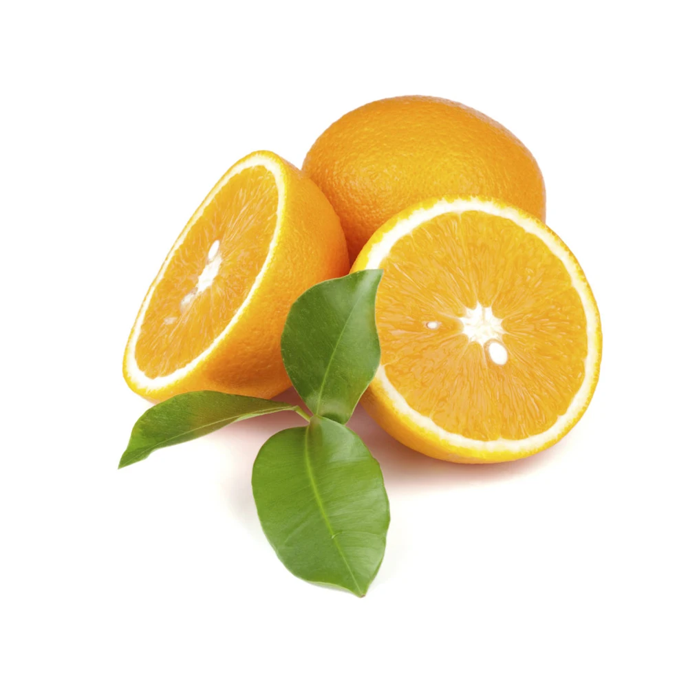 Latest Collection Fresh Sweet Orange From Indian Exporter