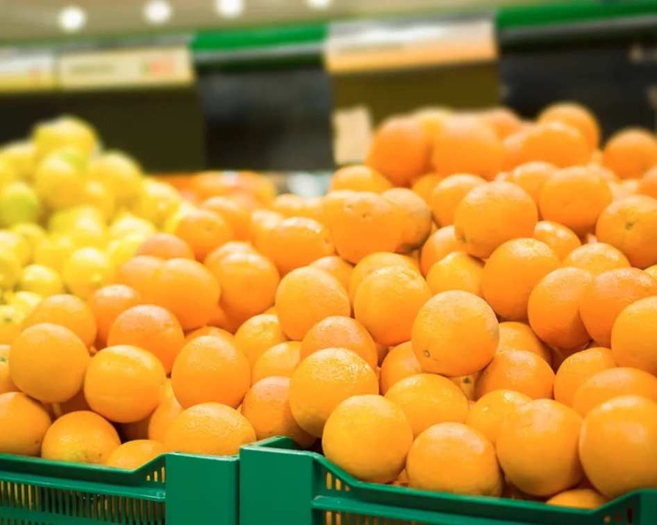 Bulk Excellent Selling Factory Direct In Mexico Fresh Sweet Citrus Oranges