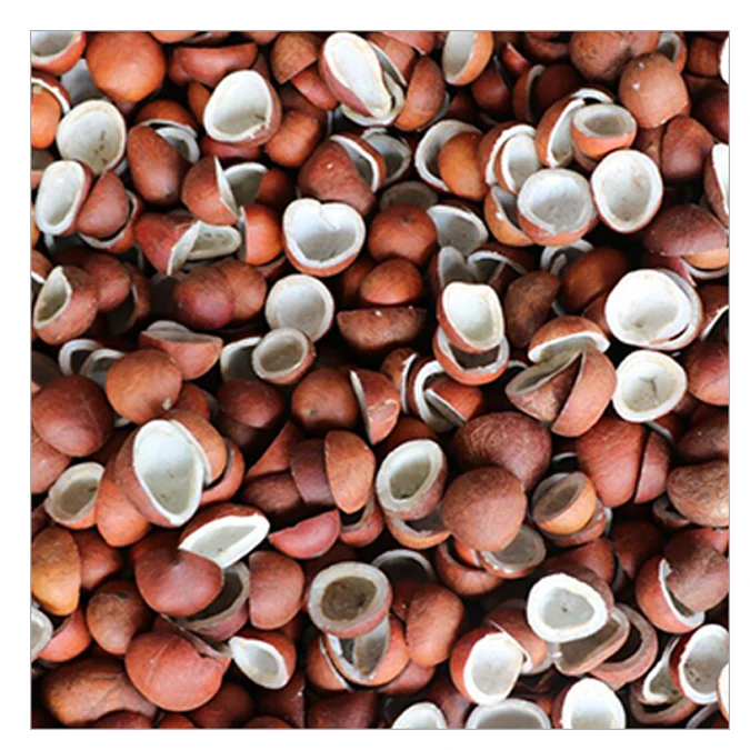 Good Quality Coconut Copra/dried Coconut (Sun Dried Copra)