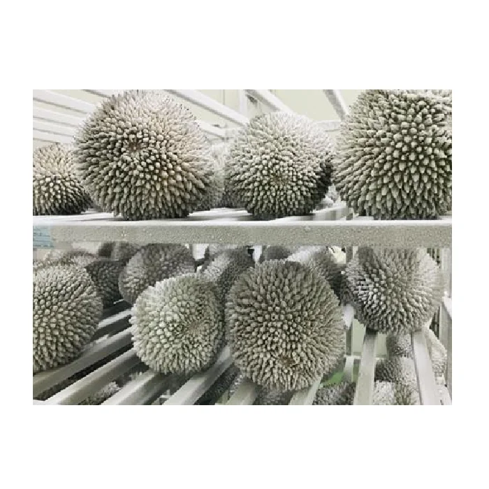 Durian Price Whole Fruit Products Export Competitive Unique Taste Frozen Musang King Whole Durian 1.5 KG