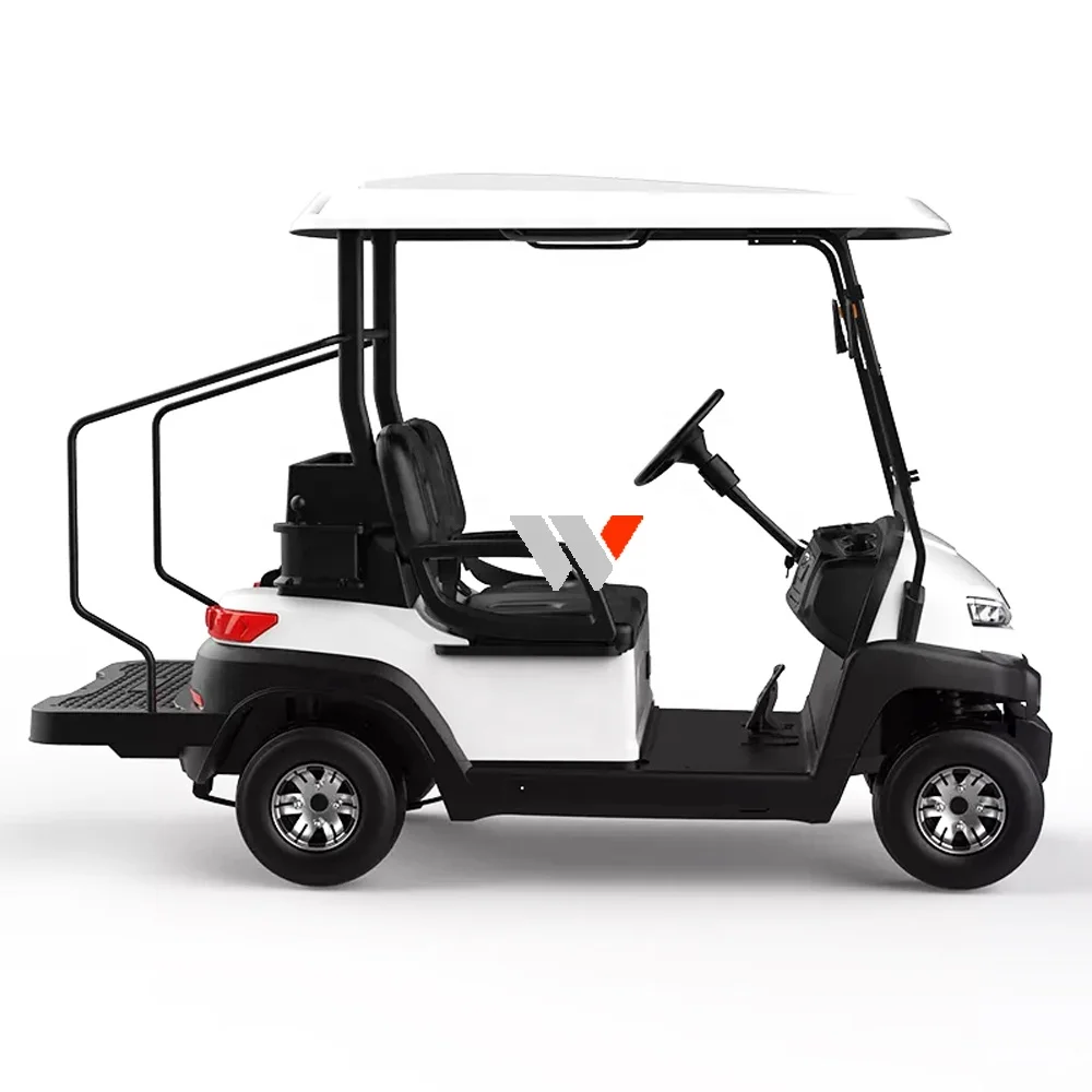 WFSEN S2 48v 4kw manufacturer mini 2 4 6 8 seater golf cart electric golf car with part