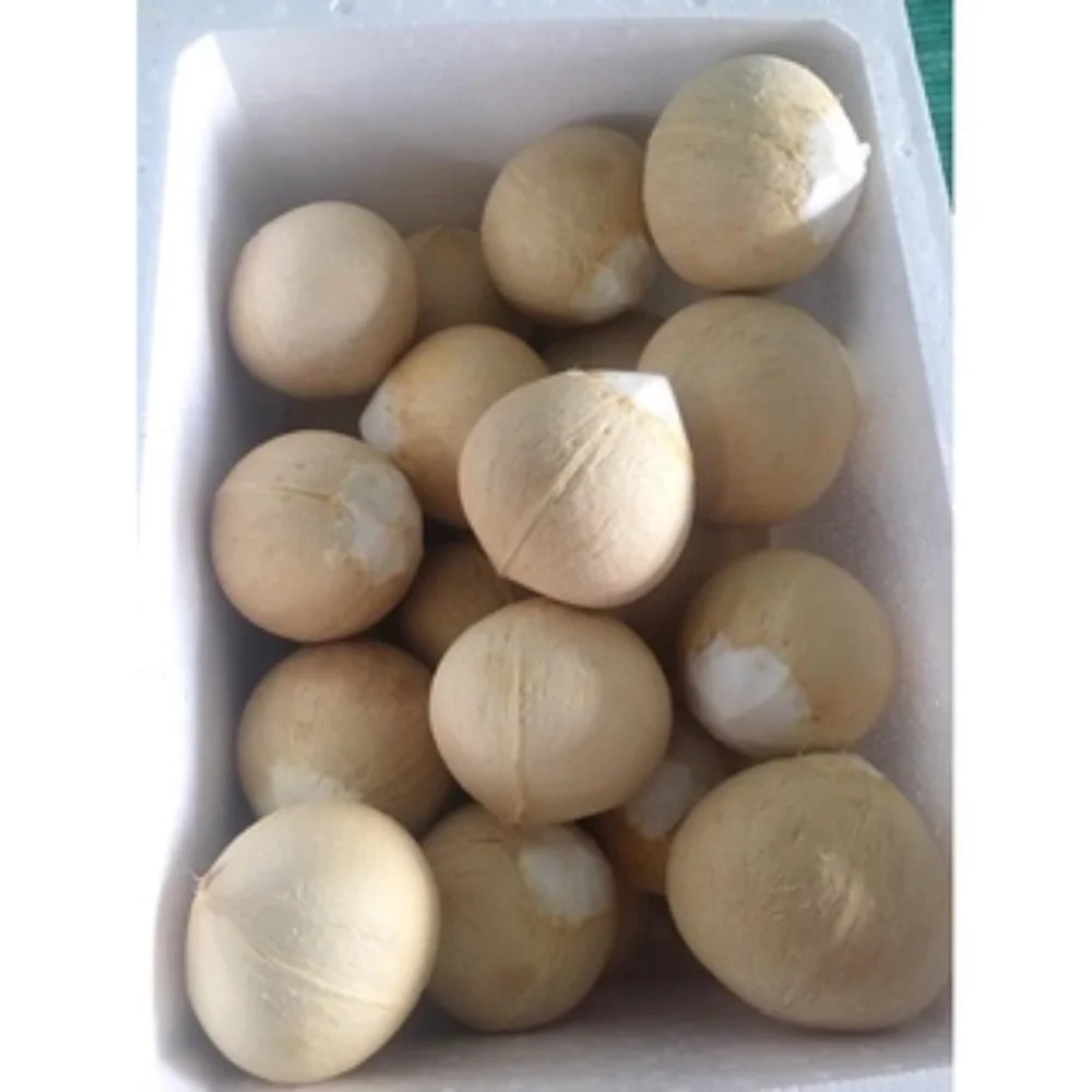 [Best Selling 2022] Top Quality Wholesale Good Price Organic Fresh Young Coconut From Viet Nam