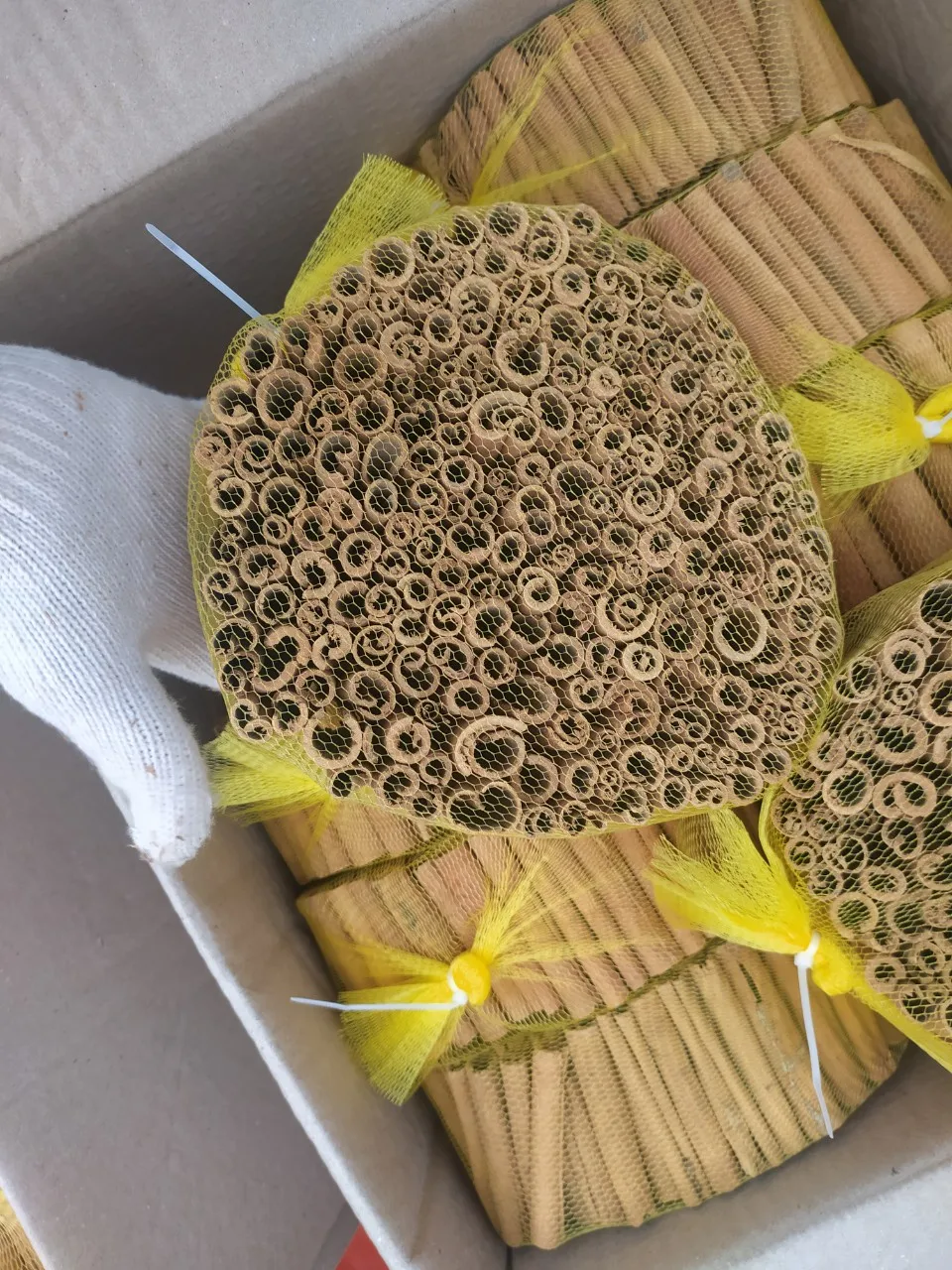 [LAURA NGUYEN ] +849 63198 873 STICK CASSIA 10CM CUT FROM PHALCO