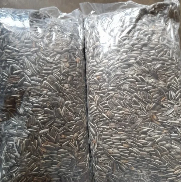 Сушеные сырые семена подсолнечника/Игристые семена подсолнечника для продажи