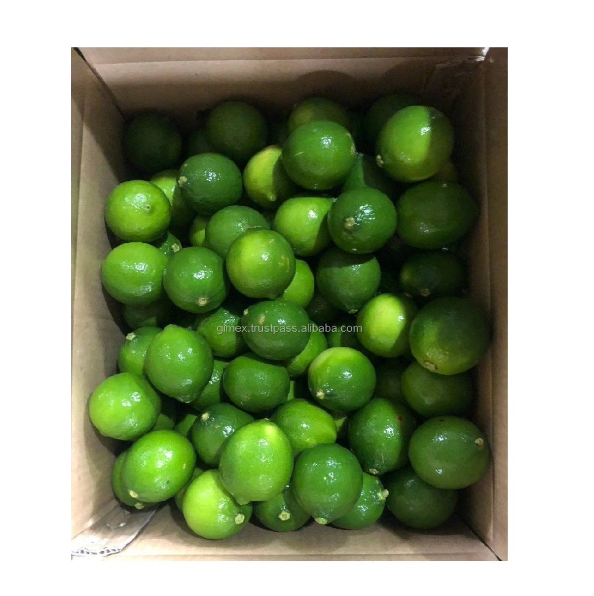 Ready To Export  Fresh Lime Seedless 2023 Citrus aurantiifolia Vietnam Fresh Bulk Lime green  (+84) 984418844