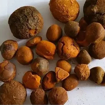 Buy Cow Gallstones / Ox Gallstones / Cattle Gallstones In Bulk at cheap price