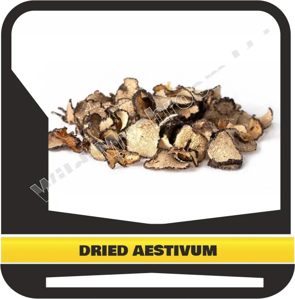 DRIED BLACK TRUFFLES AESTIVUM
