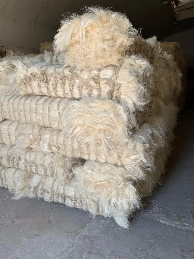 2021 100%natural sisal fibers suitable for art and crafts, yarn, fiber stores and factory.