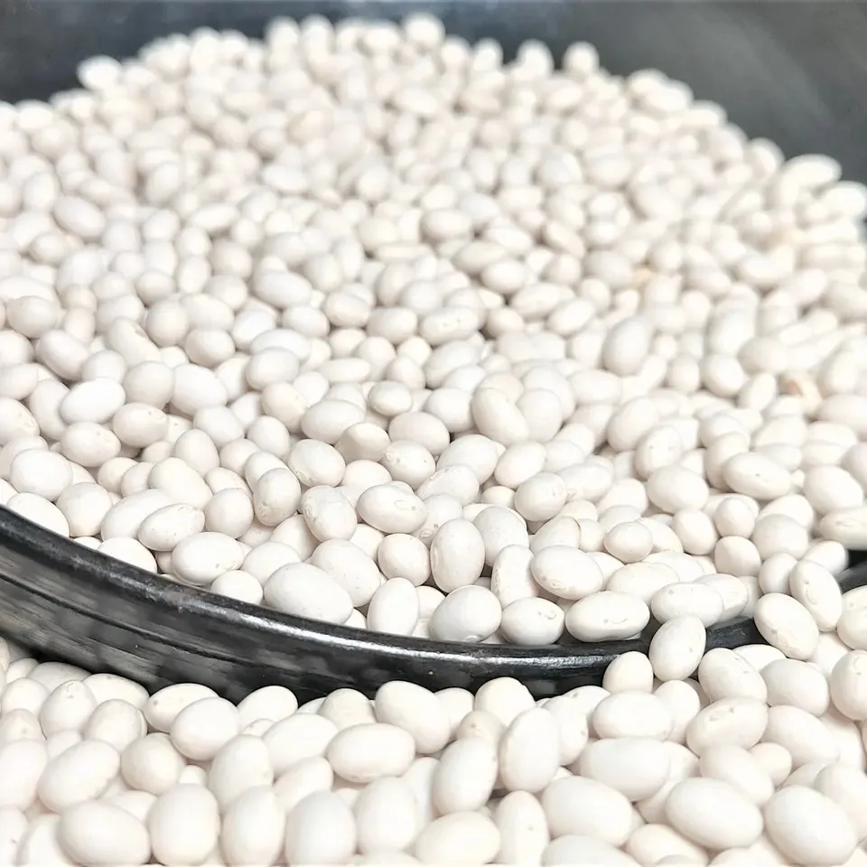 Best White Pea Beans White Kidney Beans Wholesale Navy for Canned Long Shape Dry Thailand Beans New Harvest Crop