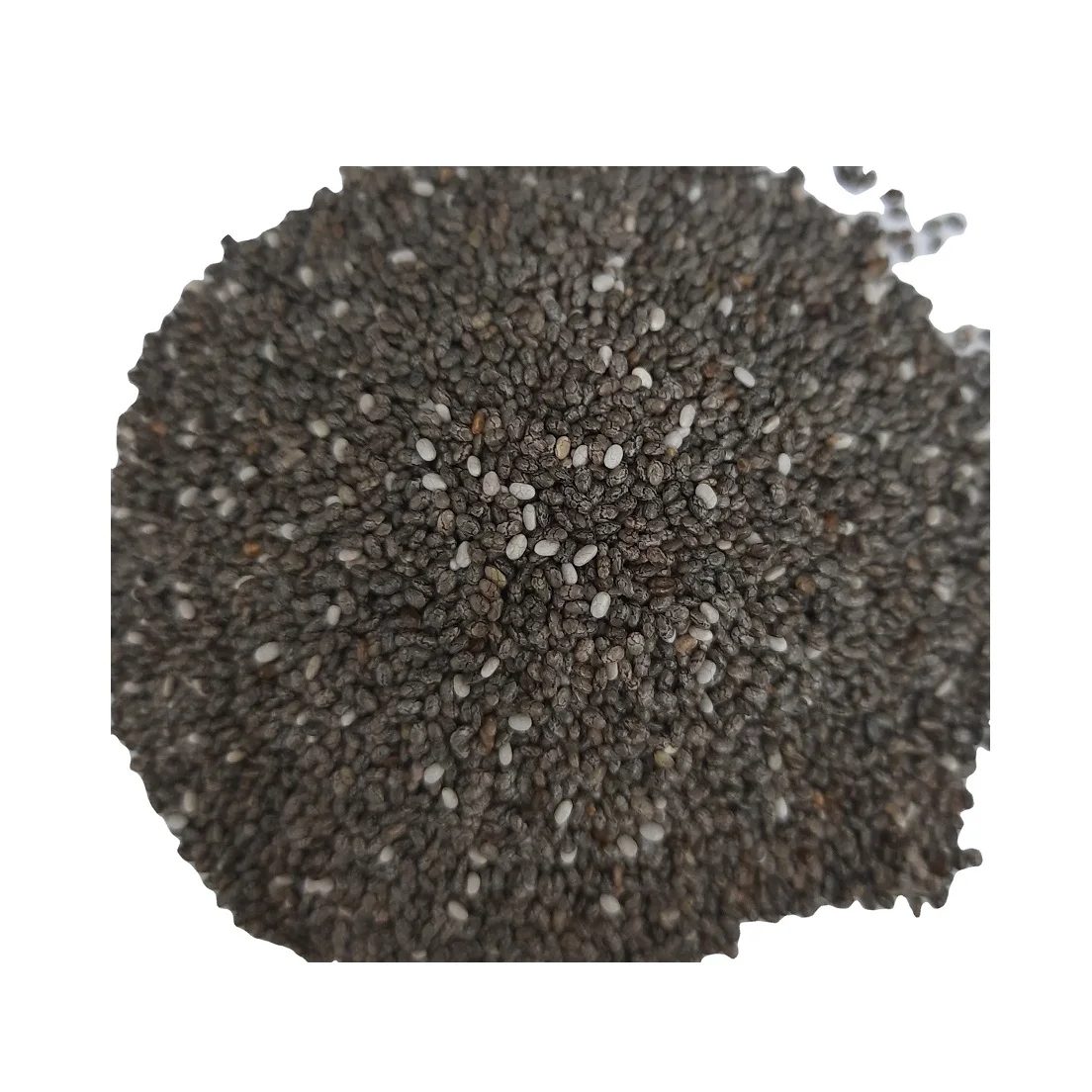 Chia Seeds -  Packaging 25 kg bags from South Africa wholesale prices