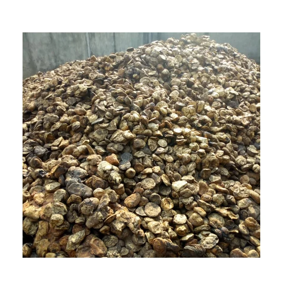 HIGH QUALITY NATURAL RUBBER CUP LUMPS WITH 62-72 % drc/Best Grade Rubber Cup Lump