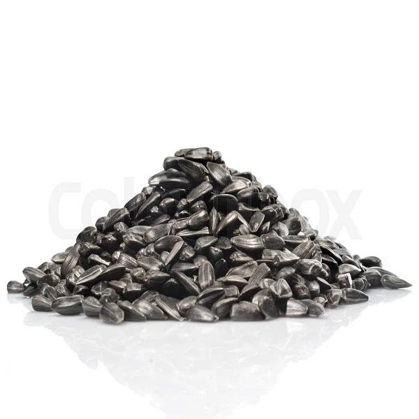 Factory Supply Sunflower Seed Protein 65%