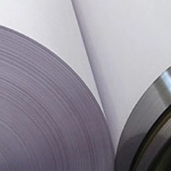 duplex paper board grey back and white back