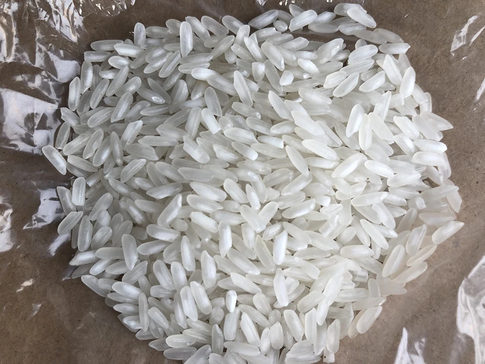 New Crop Customized Logo Hot Sale Tender Non-stick Style Good Price Ham Chau Medium Grain White Camolino Rice from Vietnam