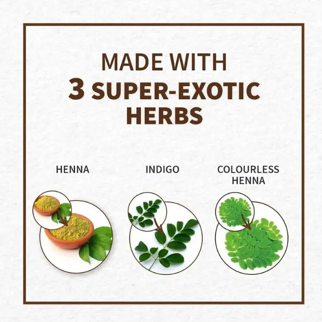OEM Wholesale Henna Hair Color Chestnut Brown Organic Dye Henna Natural Spot Coloring Fast Instant Dye Private Label Henna Dye
