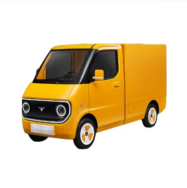 Electric Van with EEC Certification for New Energy/Electric truck