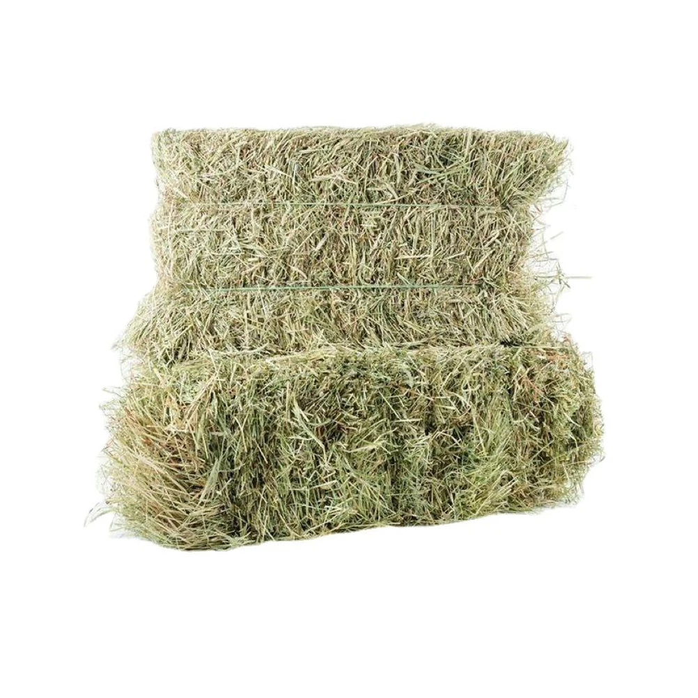 Rhode Grass Hay / Alfalfa Hay/Timothy Hay For Animal Feed