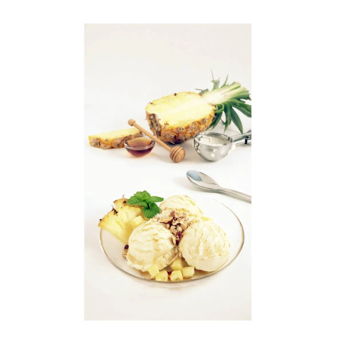 Lactose Free Ice Cream - Ice Cream Powder Ananas - Possibility to open Franchise Opportunity International