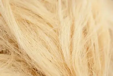 Top Deal on Best Selling Natural Cream White Sisal Fibre..