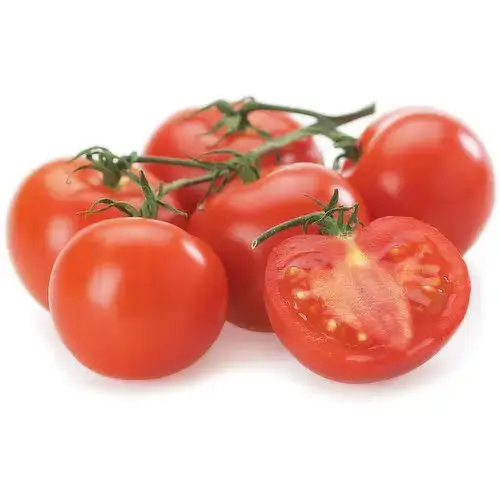 Red Heathy  Fresh Tomatoes / Cheap Price Fresh Tomatoe