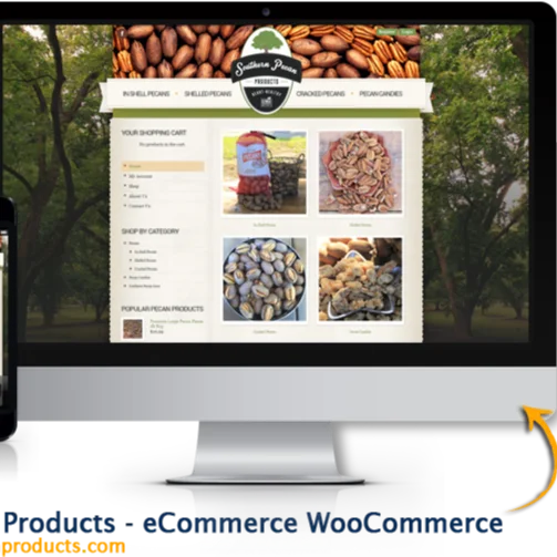 Professional Creative Website Design and Development Website Building  Analysis and Hosting Service from India