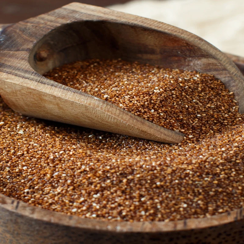 Excellent Premium Grade Teff Grains / Teff Flour