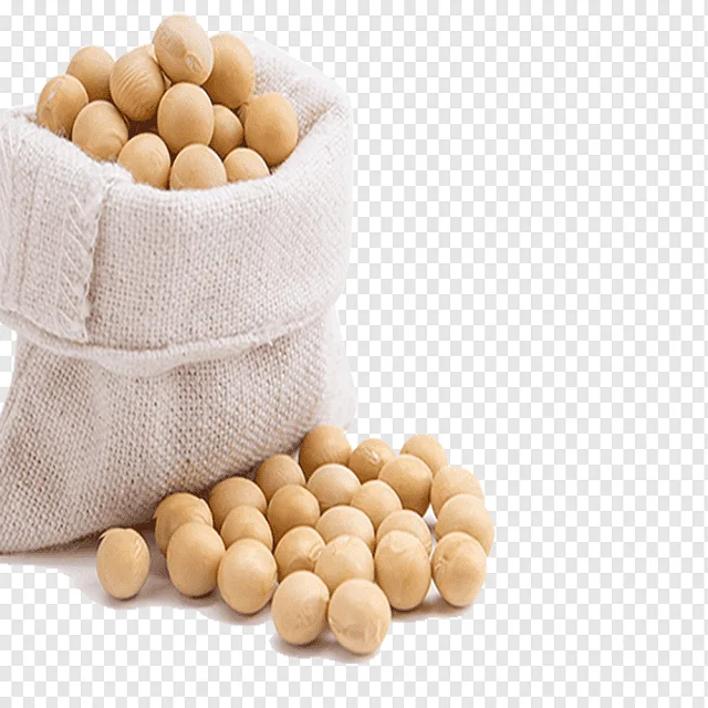 Original Soybeans/ Cheap Price Soya Beans Best Selling Soy Bean Seeds