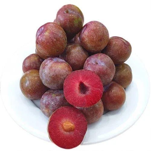 Plum Sweet Fresh with Reasonable From Best Viet Nam Fresh Fruits Wholesale Natural Flavor
