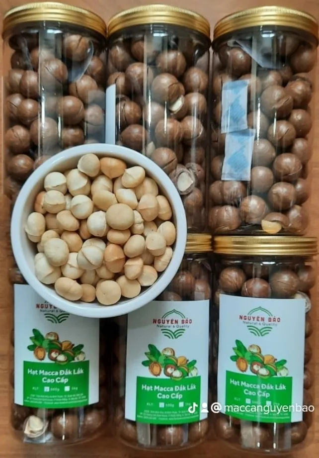 High Quality Macca Nuts Organic Wholesale