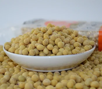Wholesale Sinocharm Brc A Iqf Frozen Soybean With 50% Up Three Kernels Soybean Frozen Edamame In Pods For Sale