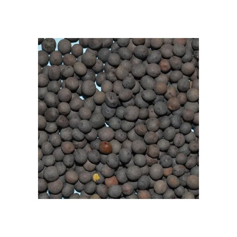Best Selling Premium Wholesale Vetch Seeds