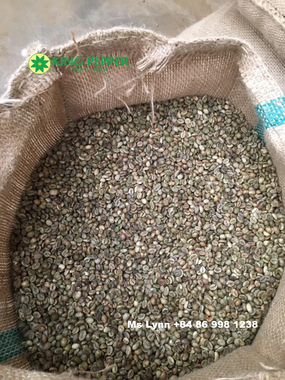 VIETNAM ROBUSTA COFFEE BEANS HIGH QUALITY from King Pepper | Ms Lynn +84333421999 Whatsapp