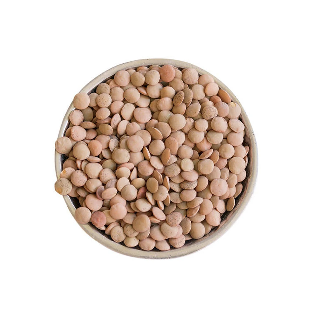 Wholesale Supplier Of Bulk Fresh Stock of Whole Green Lentils Dry Organic Green Lentils