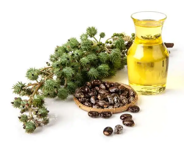 100% Pure natural castor oil price castor oil in hair castor oil
