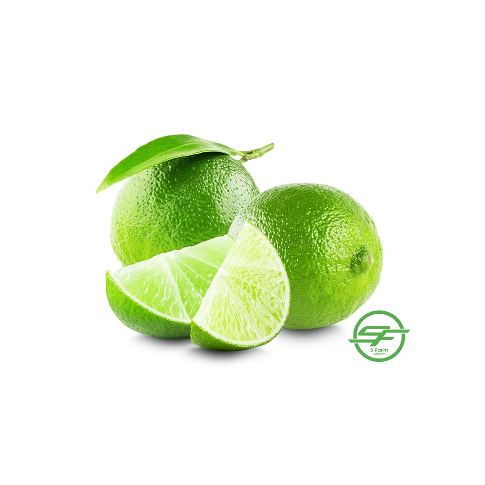 Fresh Seedless Lime Lemon | Vietnam Agricultural Export Products | Cheap Price for Buy in Bulk
