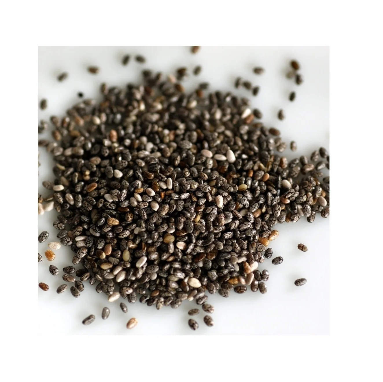 Highest Quality Best Price Direct Supply Chia Seeds Bulk Fresh Stock Available For Exports